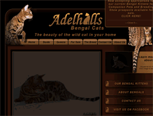 Tablet Screenshot of bengalcatbreeder.com.au